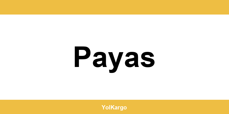 UPS Kargo şubeleri ve iletişim bilgileri Payas