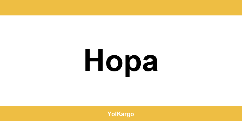 UPS Kargo şubeleri ve iletişim bilgileri Hopa
