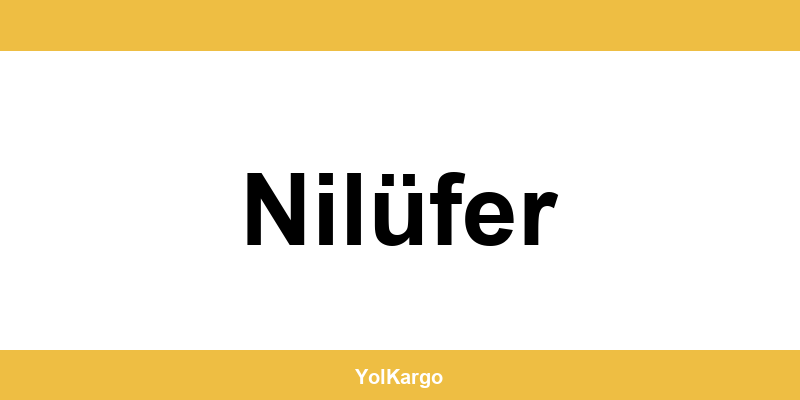 UPS Kargo şubeleri ve iletişim bilgileri Nilüfer