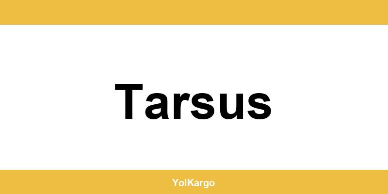 UPS Kargo şubeleri ve iletişim bilgileri Tarsus