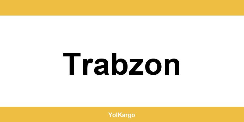 UPS Kargo şubeleri ve iletişim bilgileri Trabzon