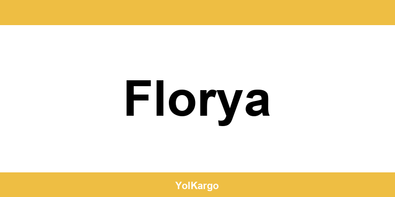 UPS Kargo şubeleri ve iletişim bilgileri Florya