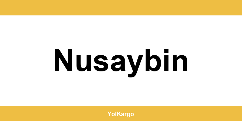 UPS Kargo şubeleri ve iletişim bilgileri Nusaybin